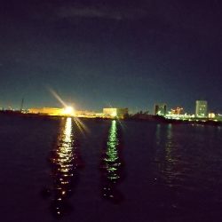 アジいました。