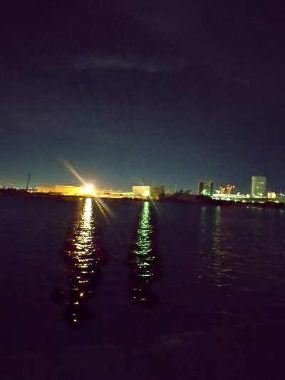 アジいました。