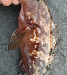 またまた仕事帰りに