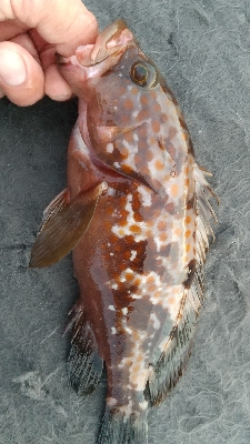 またまた仕事帰りに