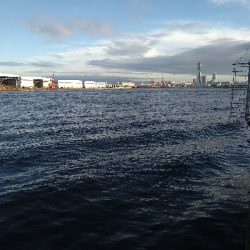 キロオーバー期待するも