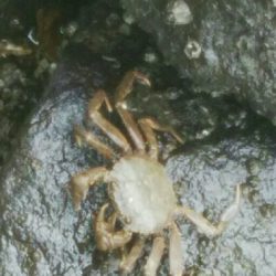 『釣りデビュー(^^)』189日目