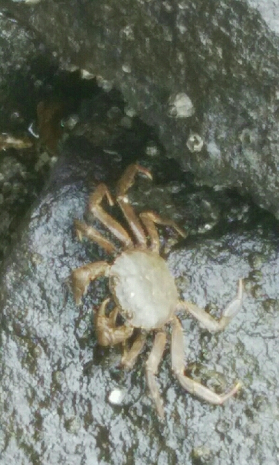 『釣りデビュー(^^)』189日目