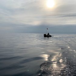 いつものポイントでジギング、タイラバ釣行