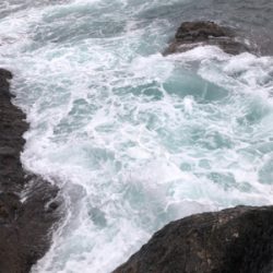 青物からのヒラスズキ