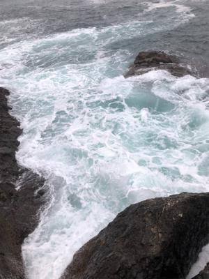 青物からのヒラスズキ