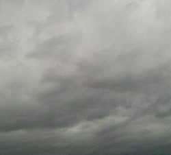 『釣りデビュー(^^)』195日目