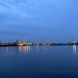 あと2cm！悔ーーー