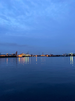 あと2cm！悔ーーー