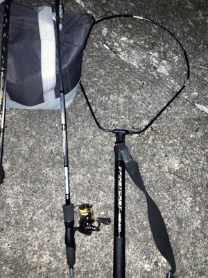 ナイトアコウゲーム