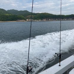 豪雨一つテンヤ