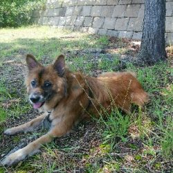 『釣りデビュー(^^)』199日目