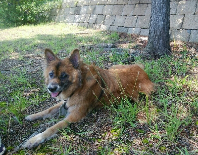 『釣りデビュー(^^)』199日目