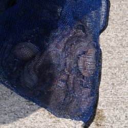 オクトパッシング