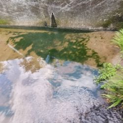 穴釣で2本ヒット