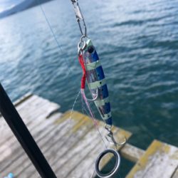 今日は福井遠征