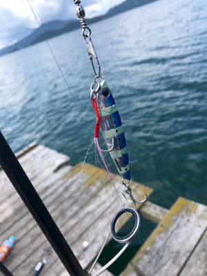 今日は福井遠征