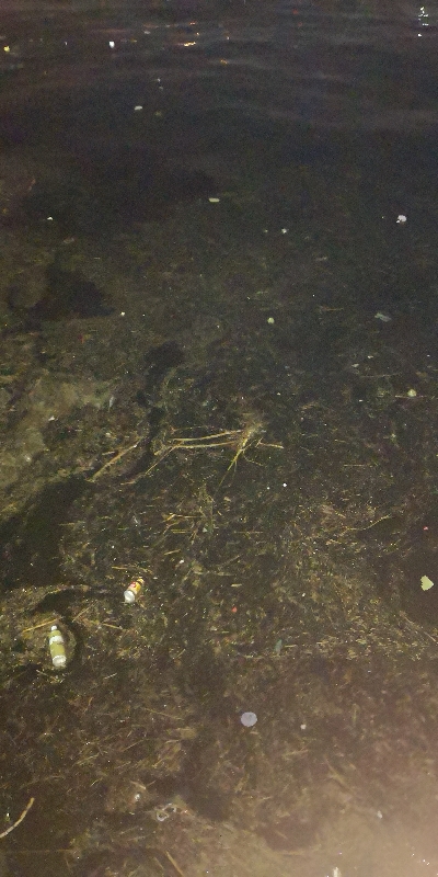 アジング練習　309