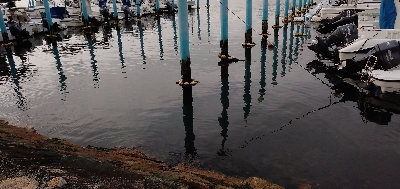 まさかの巨メバル