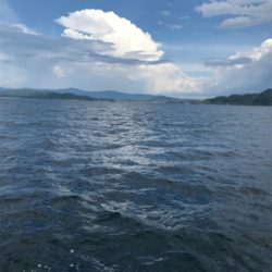 まさかのビック鯛