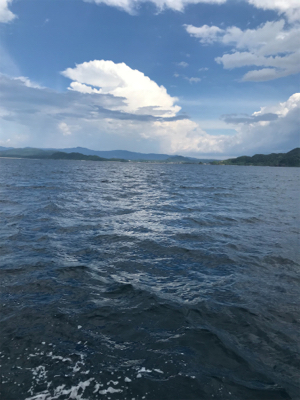 まさかのビック鯛