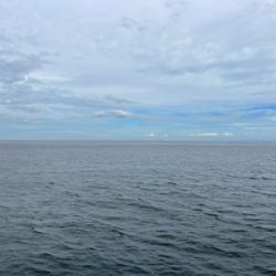 都志でチヌ釣り