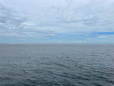 都志でチヌ釣り