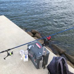 ちょい投げでキス釣り