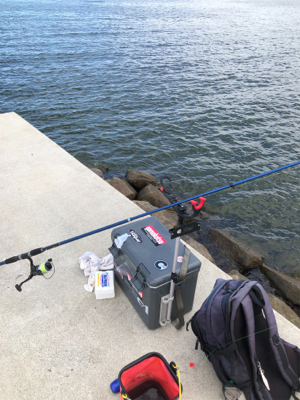 ちょい投げでキス釣り