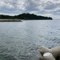 夏だーー！！イカだーー！！