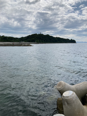 夏だーー！！イカだーー！！