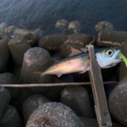 フロートアジング