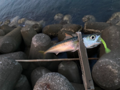 フロートアジング