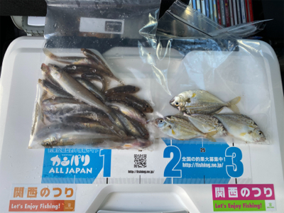 キス釣り、ハゼ釣り