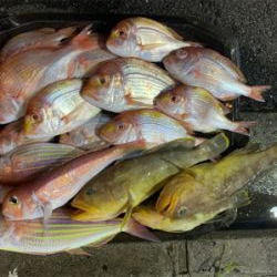 マイボートで、今が旬のアマダイとレンコダイ狙い