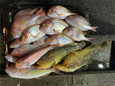 マイボートで、今が旬のアマダイとレンコダイ狙い