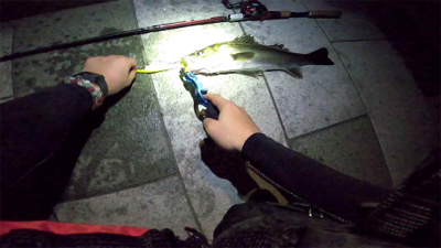 ジョイクロシーバス