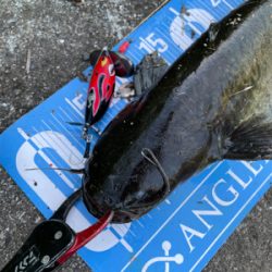 夕方から夜にかけてランガン