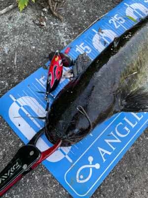 夕方から夜にかけてランガン