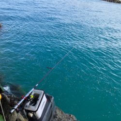 河口でエビ撒き釣り
