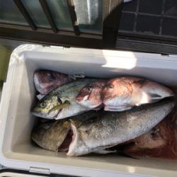 炎天下の海上釣り堀