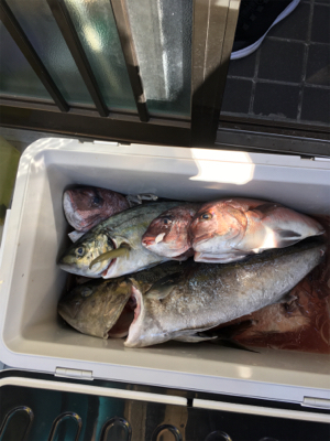 炎天下の海上釣り堀