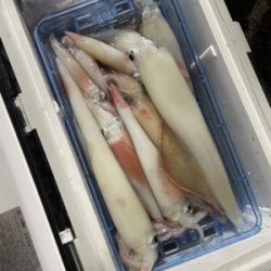 月夜のイカメタル