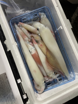 月夜のイカメタル