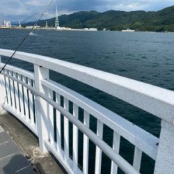 今日もマリーナシティは高活性