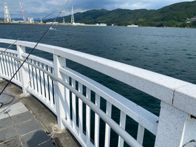 今日もマリーナシティは高活性