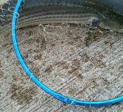 『釣りデビュー(^.^)』207