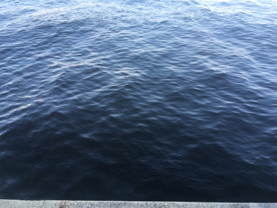 （メクリ？)アジ