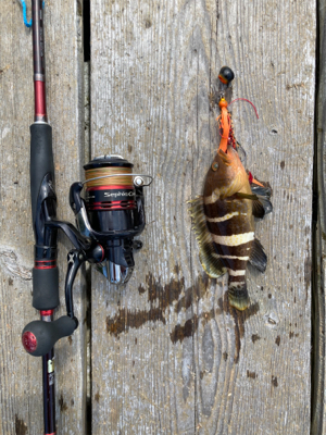 ショアタイラバ