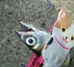 『釣りデビュー(^^)』212